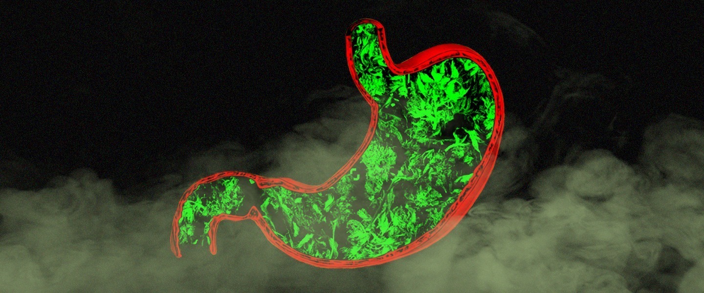 Edibles Effect On A Full Stomach