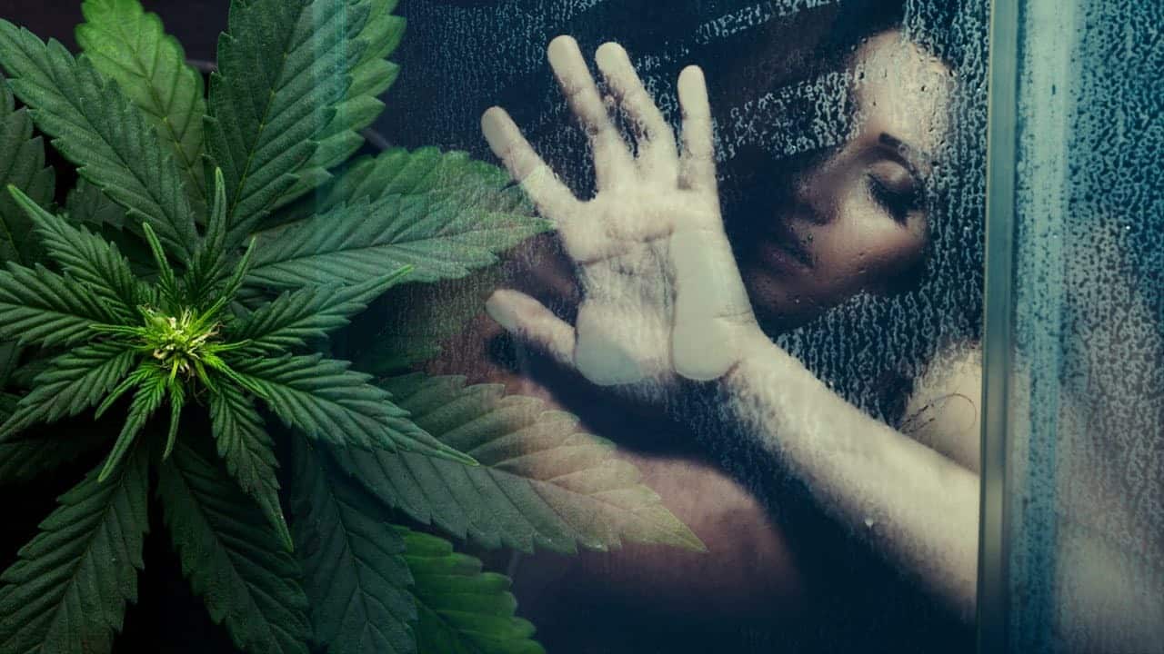 Cannabis has severe erectile dysfunction and sexual performance