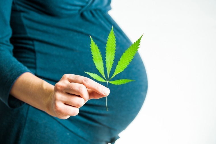 cannabis affect male and female fertility