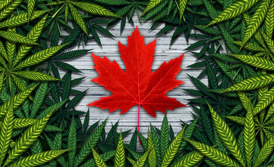 Cannabis in Canada