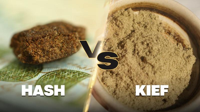 Kief Vs Hash