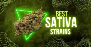 Top 5 Sativa Strains